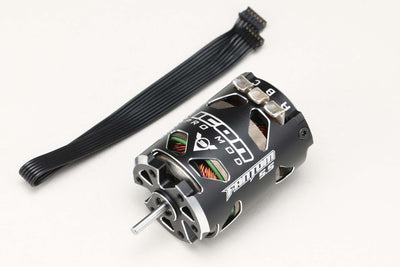 FANTOM V3 PRO MODIFIEDS 5.5T
